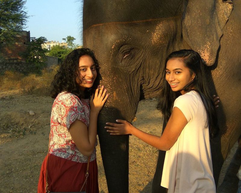 Elephant Sanctuary for Best elephant experience in Jaipur - Why the morning timing and air-conditioned pickup matter in Jaipur