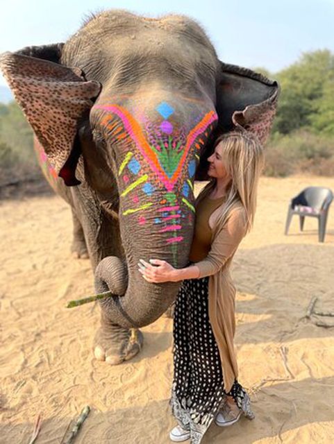 Elephant Sanctuary for Best elephant experience in Jaipur - Included perks that make the $62 feel more reasonable