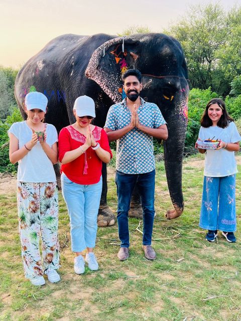 Elephant Sanctuary for Best elephant experience in Jaipur - What to bring: your checklist for a comfortable, sunny visit