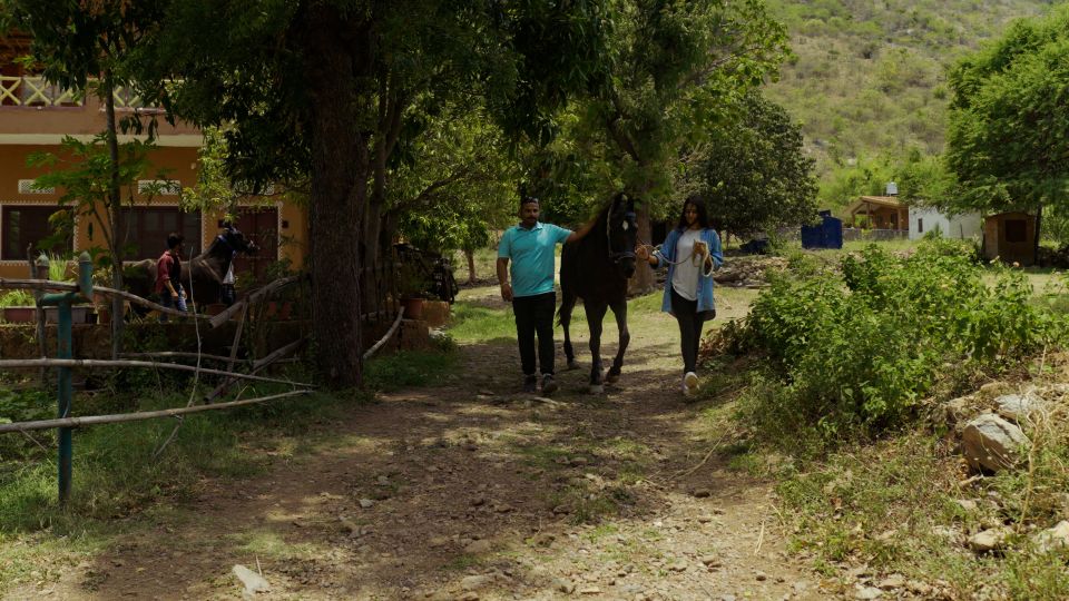 Equestrian Escape: Horse Safari Adventure - Who This Equestrian Escape Best Fits