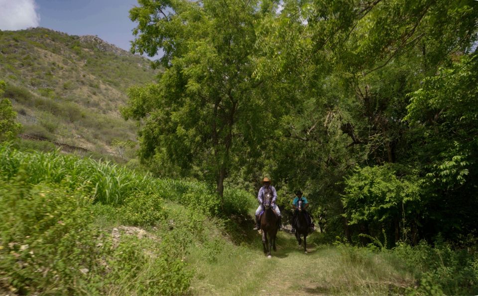 Equestrian Escape: Horse Safari Adventure - The Hands-On Horse Care: Feeding, Cleaning, and Grooming