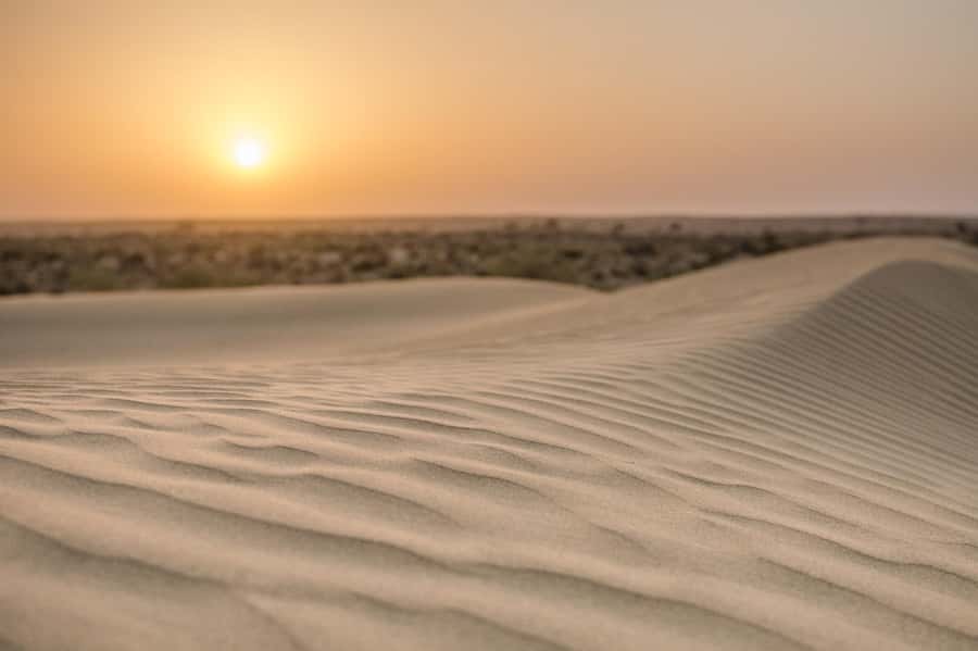 Exclusive Musical Evening at Desert Luxury Camp (NO CAMEL) - Should You Book This Desert Luxury Camp Musical Evening?