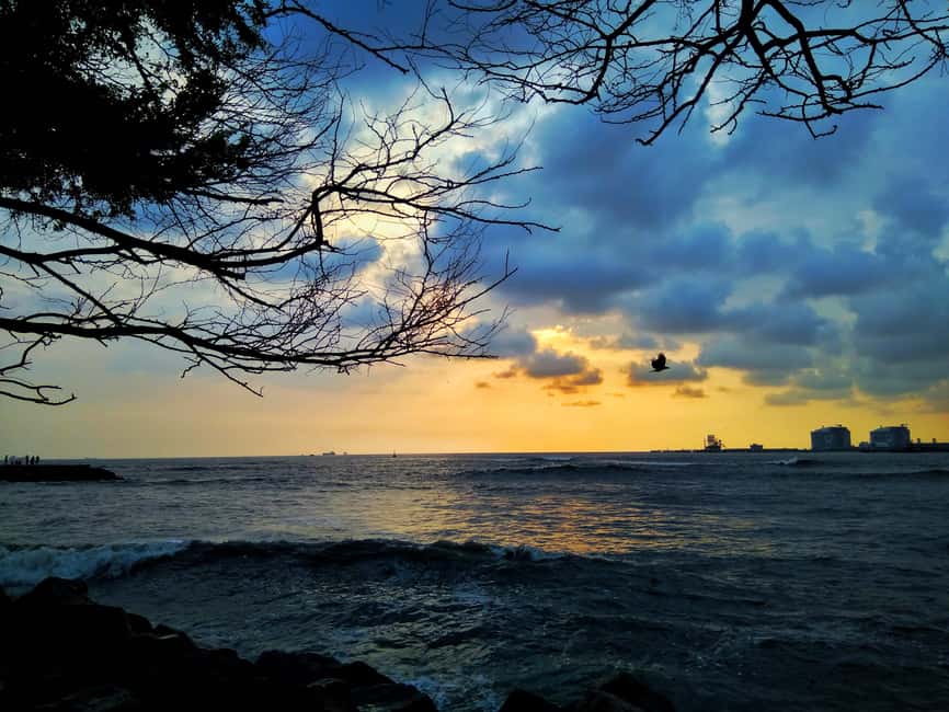 Fortkochi Heritage Walking tour with a local guide - Fort Kochi, Mattancherry, Jew Town: How the 3-Hour Loop Really Feels