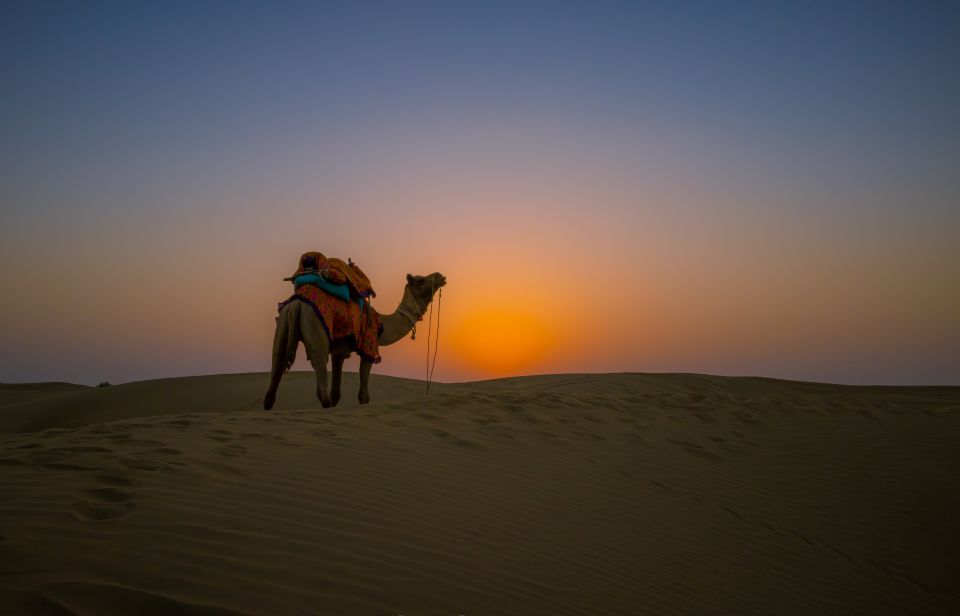 Frenzy Paradise Overnight Thar Desert Camping Tour - Day 1: Kuldhara Photo Stop, Jeep Dune Bashing, and Camel Ride Timing