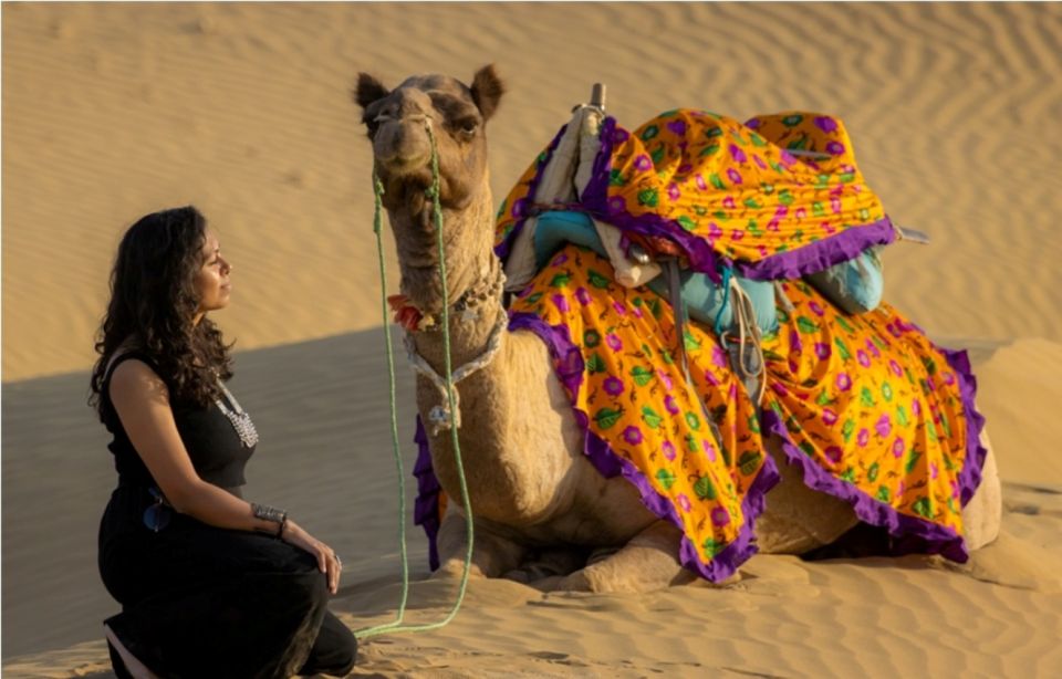 Frenzy Paradise Overnight Thar Desert Camping Tour - Price and What You Actually Get for $49