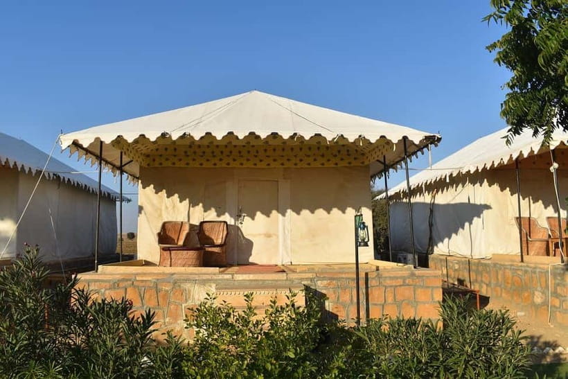 Frenzy Paradise Overnight Thar Desert Camping Tour - Who This Tour Suits Best (and Who Should Reconsider)