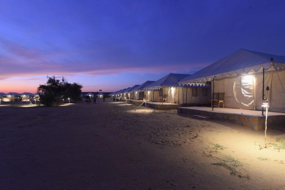 Frenzy Paradise Overnight Thar Desert Camping Tour - Should You Book Frenzy Paradise Overnight Thar Desert Camping Tour?