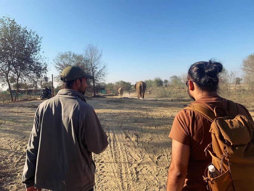 From Agra: Visit to Wildlife SOS Elephant Conservation Trip - What to bring (and what to skip) so you don’t waste time