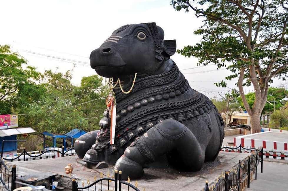 From Bangalore: Bannerghatta Park & City Sights Private Tour - Tipu Sultan’s Summer Palace: Indo-Islamic Architecture in a Focused Visit