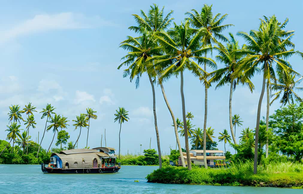 From Cochin: Day Tour of Alleppey houseboat with Lunch - Key highlights to know before you go
