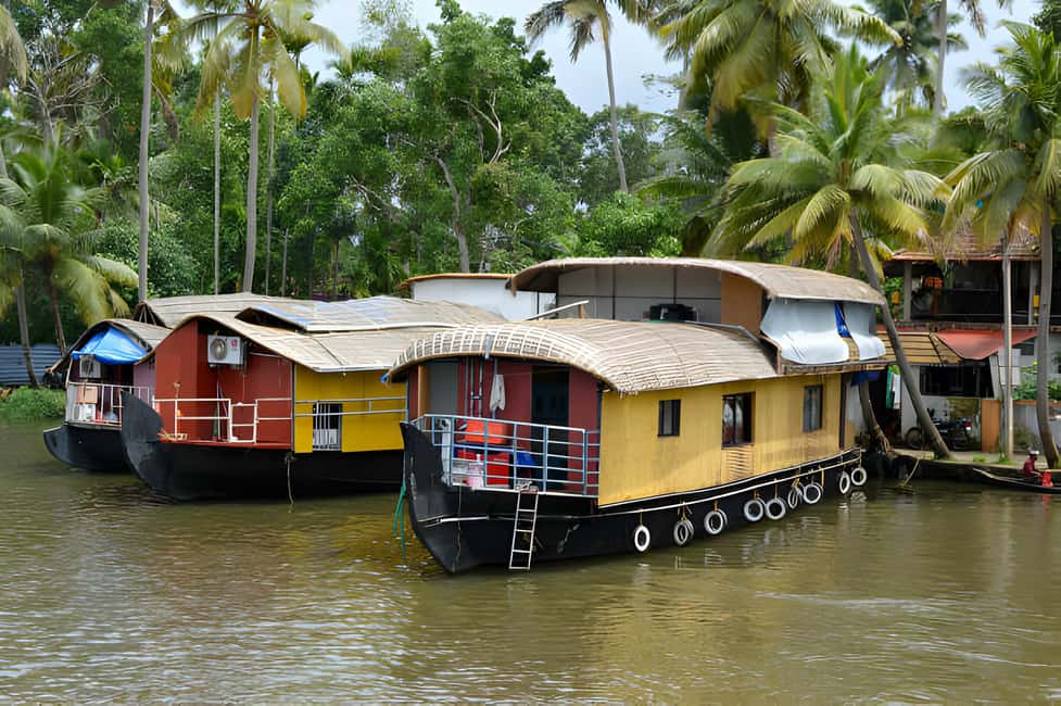 From Cochin: Day Tour of Alleppey houseboat with Lunch - Price and value: what $218 per person is buying