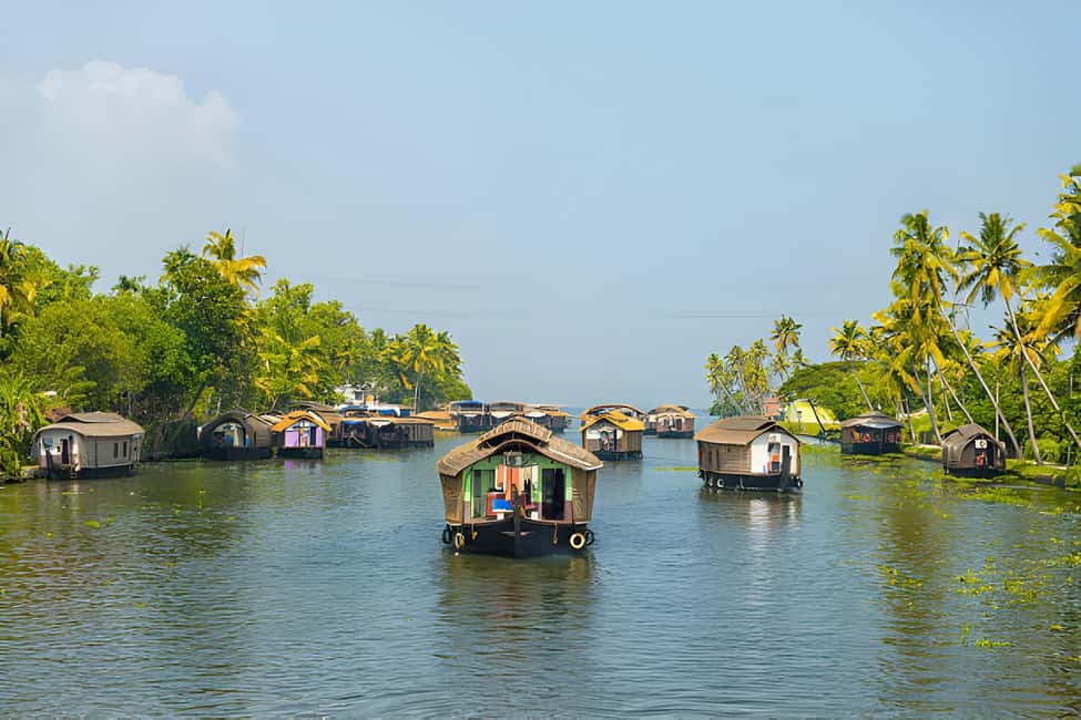 From Cochin: Day Tour of Alleppey houseboat with Lunch - Boarding at noon: how the backwater cruise is structured
