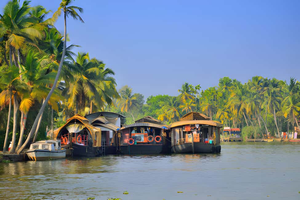 From Cochin: Day Tour of Alleppey houseboat with Lunch - Tea/coffee snacks in the afternoon: small detail, big comfort