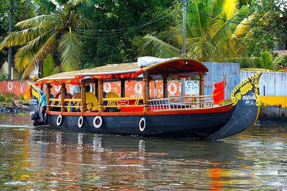 From Cochin Port: Backwater Cruise and Chinese Nets - The backwaters experience: paddy fields, palms, and slow cruising