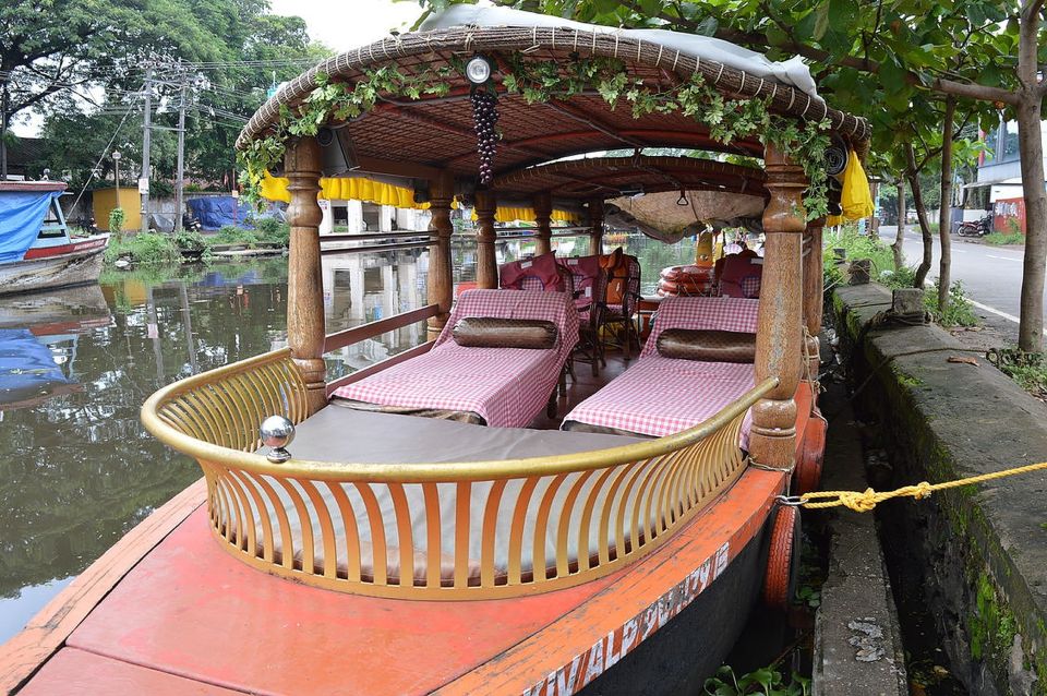 From Cochin Port: Backwater Cruise and Chinese Nets - Guides and driving: why it feels organized on a shore day
