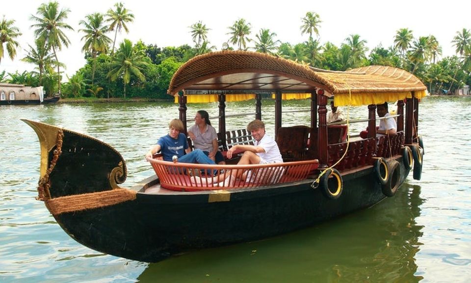 From Cochin Port: Backwater Cruise and Chinese Nets - Who this tour fits best (and who should skip it)