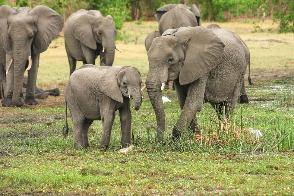 From Cochin: Thekkady 2-Day Tour with Jeep Safari - Key things to know before you go