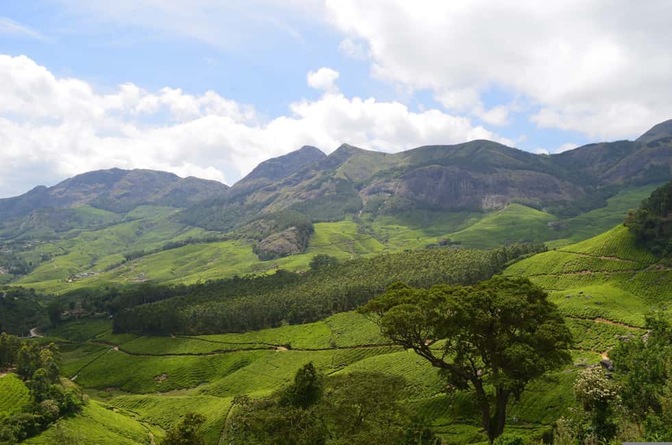 From Cochin: Thekkady 2-Day Tour with Jeep Safari - The local market stop: souvenirs and the art of not overbuying