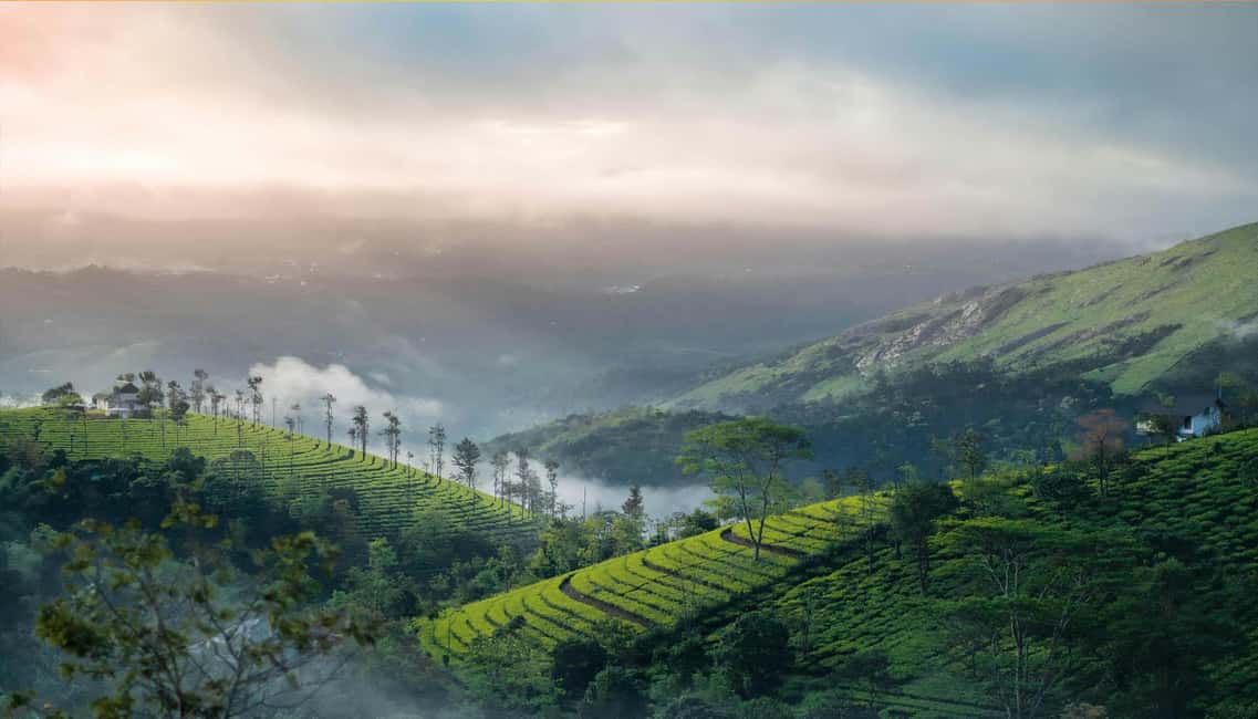 From Cochin: Thekkady 2-Day Tour with Jeep Safari - Who this 2-day tour suits best