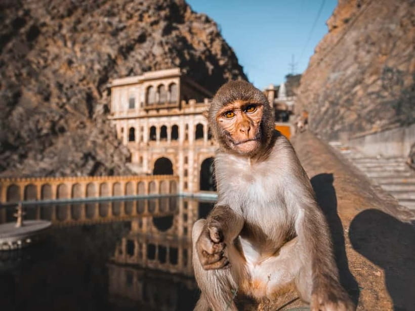 From Delhi: 2-Day Agra & Jaipur Golden Triangle Experience - Golden Triangle, Fast and Focused: What Makes This 2 Days Work