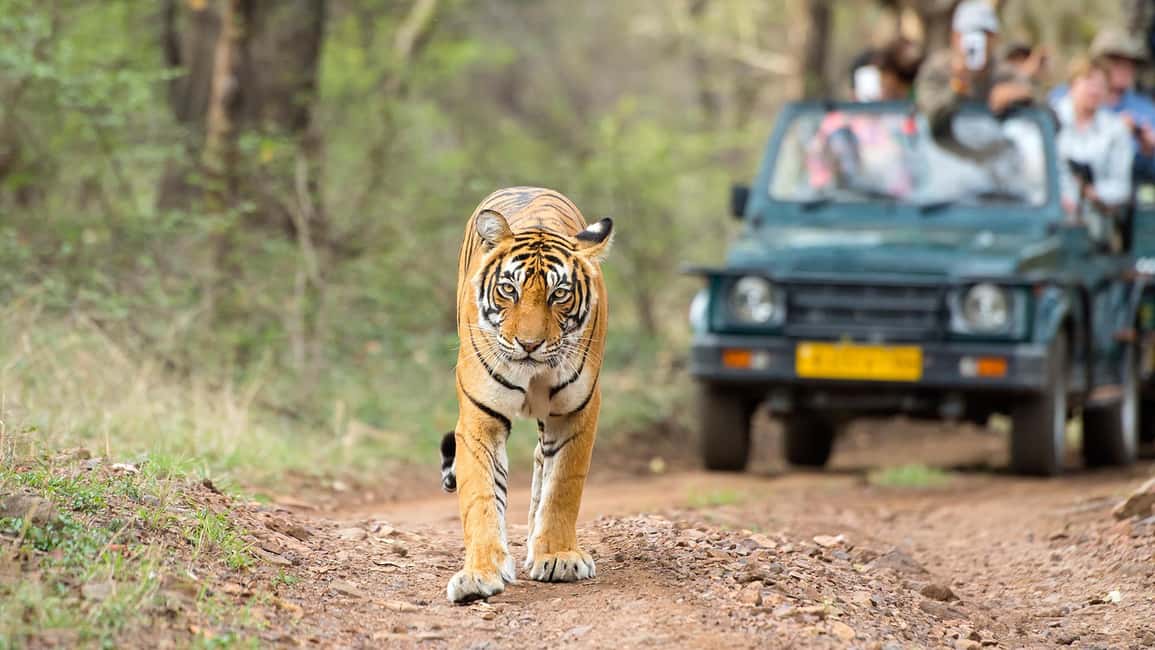 From Delhi: 4-Day Golden Triangle Tour with Tiger Safari - Day 1 in Delhi: Mughal Landmarks, Humayun’s Tomb, and Old Delhi by Rickshaw