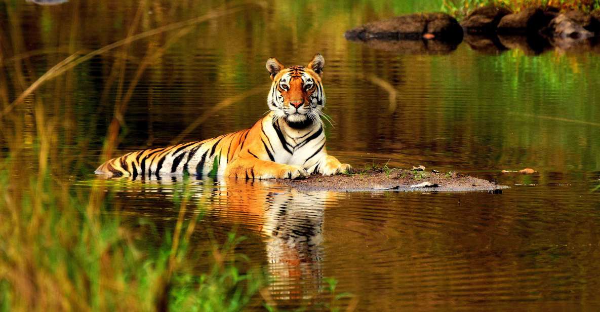 From Delhi: 5-Day Tiger Safari & Golden Triangle Tour - Agra: Taj Mahal focus, Agra Fort time, and Fatehpur Sikri’s strange silence