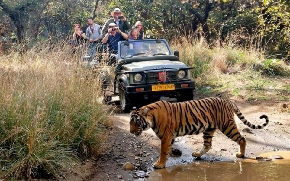From Delhi: 6-Day Golden Triangle Tour with Ranthambore - The Big Picture: Delhi to Agra to Jaipur to Ranthambore
