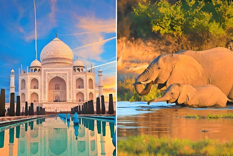 From Delhi: Sunrise Taj Mahal and Elephant Conservation Tour - Sunrise Taj Mahal: the light, the pace, and the guide advantage