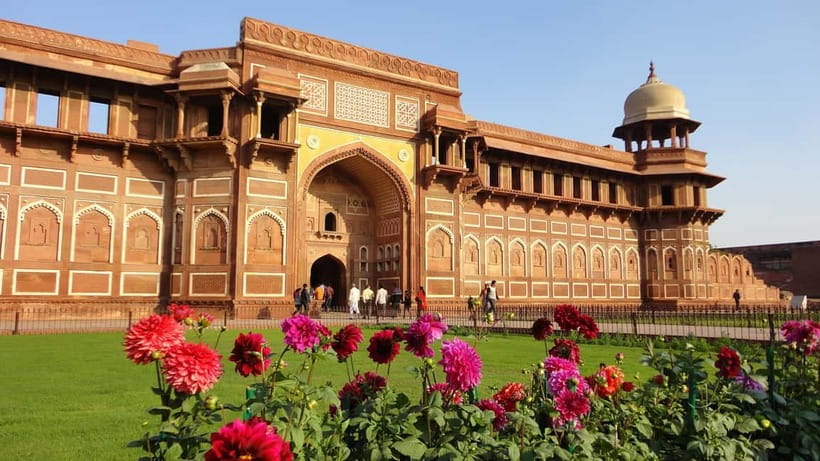 From Delhi: Sunrise Taj Mahal Tour With Elephant SOS - Price and value: $26 for a private day in Agra