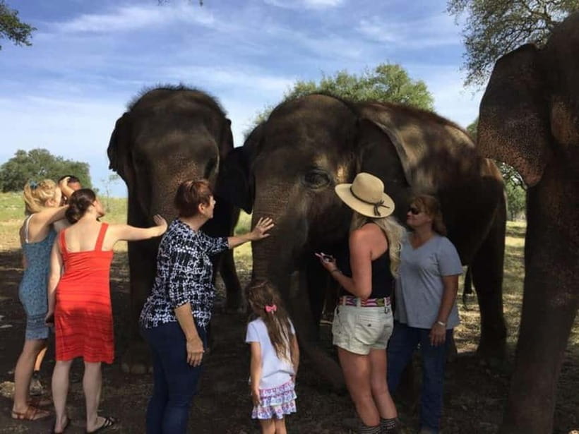 From Delhi: Sunrise Taj Mahal Tour With Elephant SOS - Sunrise Taj Mahal: why the 2–3 AM start is worth it
