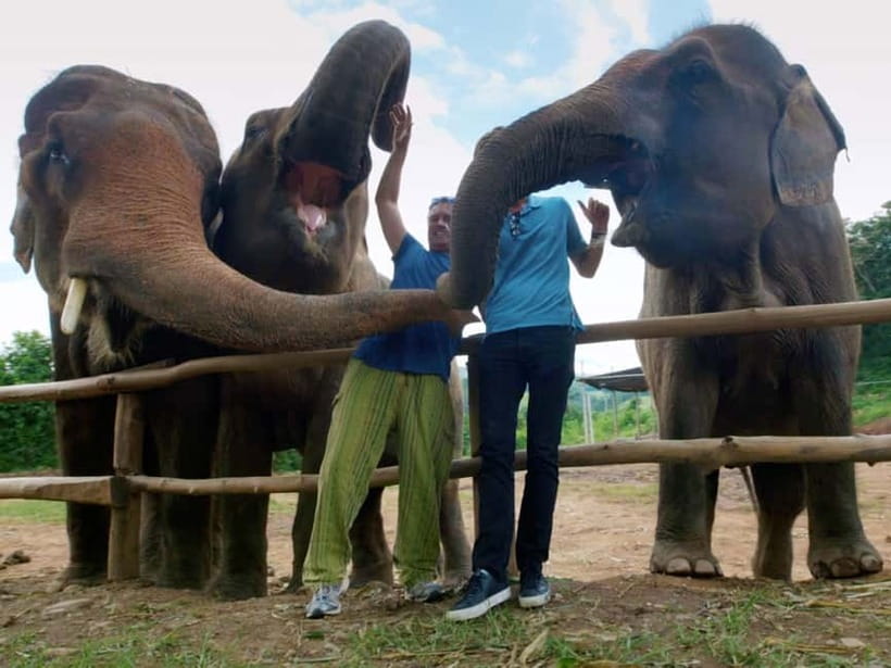 From Delhi: Sunrise Taj Mahal Tour With Elephant SOS - Skip-the-line entry and smart security handling