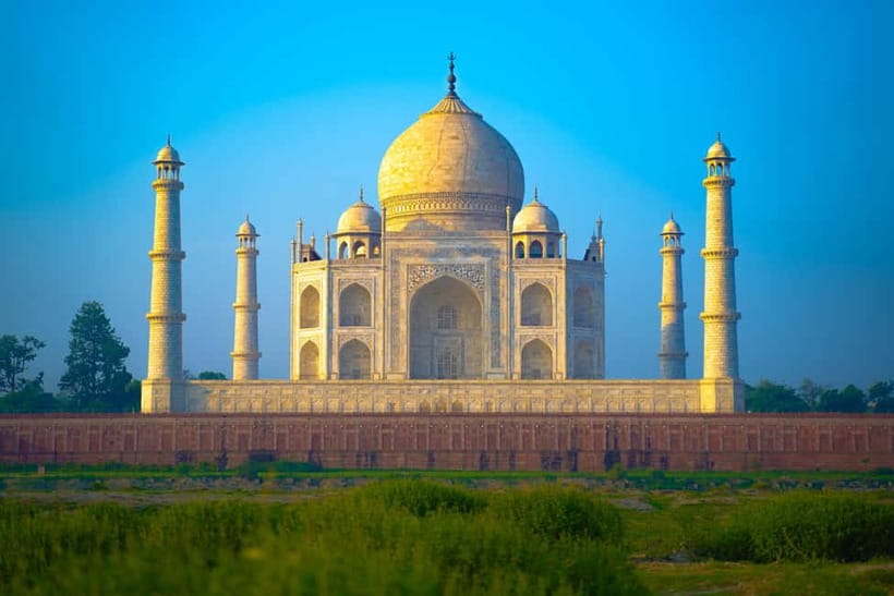 From Delhi: Sunrise Taj Mahal & visit Elephant Conservation - Wildlife SOS Elephant Conservation Center: ethical, no riding, no tricks