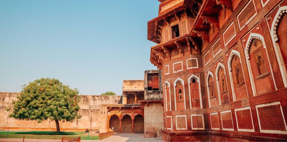 From Delhi: Taj Mahal & Agra Full Sameday Tour All Inclusive - Lunch at a multi-cuisine stop before Baby Taj