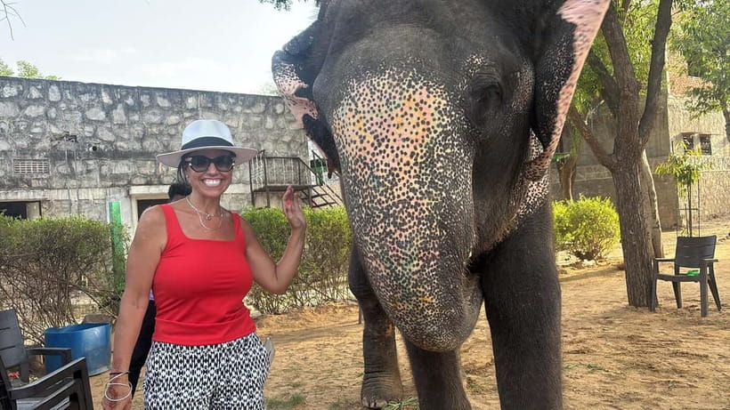 From Delhi: Taj Mahal Sunrise and Elephant Conservation Tour - Key moments you’ll feel right away