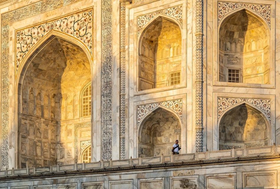 From Delhi: Taj Mahal Sunrise and Elephant Wildlife SOS Tour - Who this tour suits best (and who should rethink it)