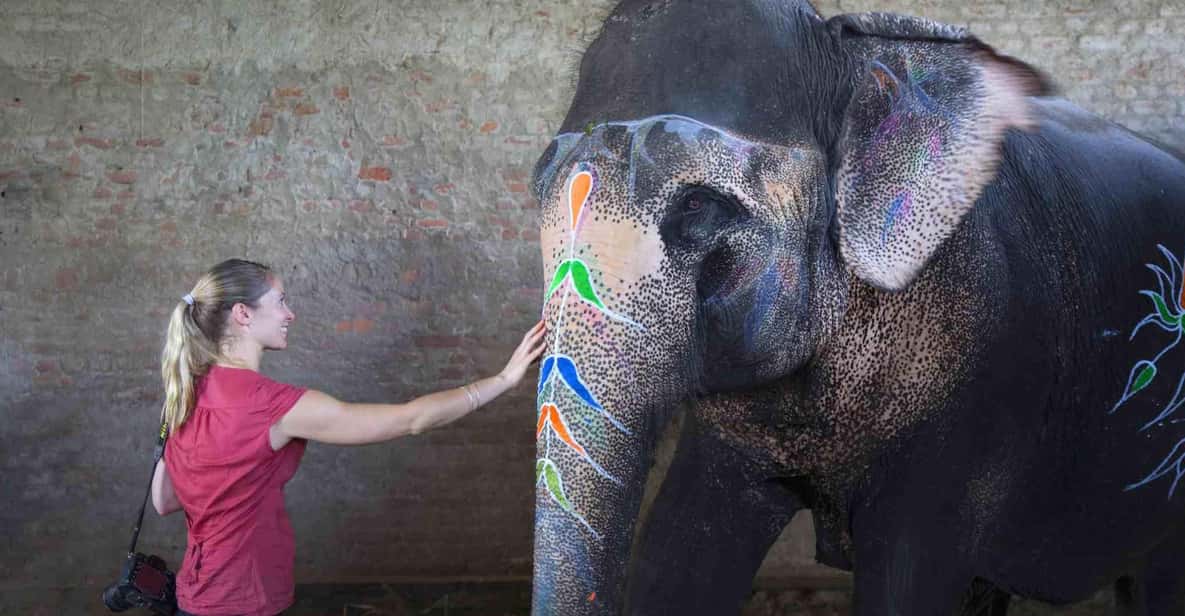 From Delhi: Taj Mahal Sunrise Tour w/ Elephant Conservation - Key highlights worth planning around