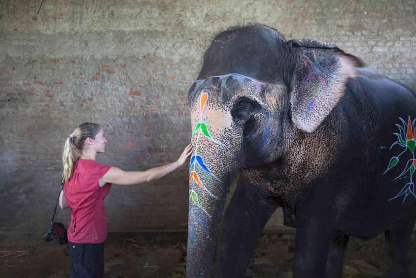 From Delhi: Taj Mahal Sunrise Tour w/ Elephant Conservation - 13 hours of private comfort: getting from Delhi to Agra without chaos