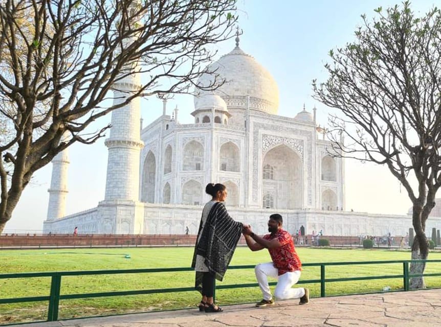 From Delhi: Taj Mahal Sunrise Tour w/ Elephant Conservation - Should you book this Taj Mahal sunrise plus elephants tour?