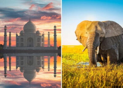 From Delhi: Taj Mahal Sunrise Tour with Elephant SOS Center - Agra Fort tour: Mughal power beyond the postcard