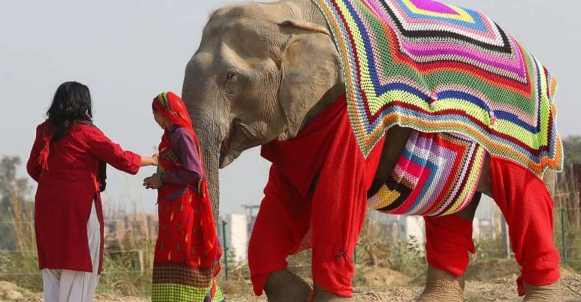 From Delhi: Taj Mahal with Photographer & Elephant SOS Tour - Key things I’d pin to your day