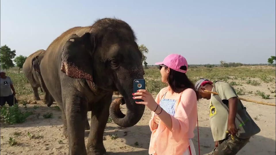 From Delhi: Taj Mahal with Photographer & Elephant SOS Tour - Wildlife SOS Elephant Hospital: conservation time with practical boundaries