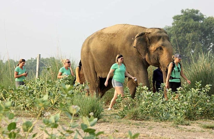 From Delhi: Taj Mahal with Photographer & Elephant SOS Tour - Who this tour fits best (and who might want a slower plan)