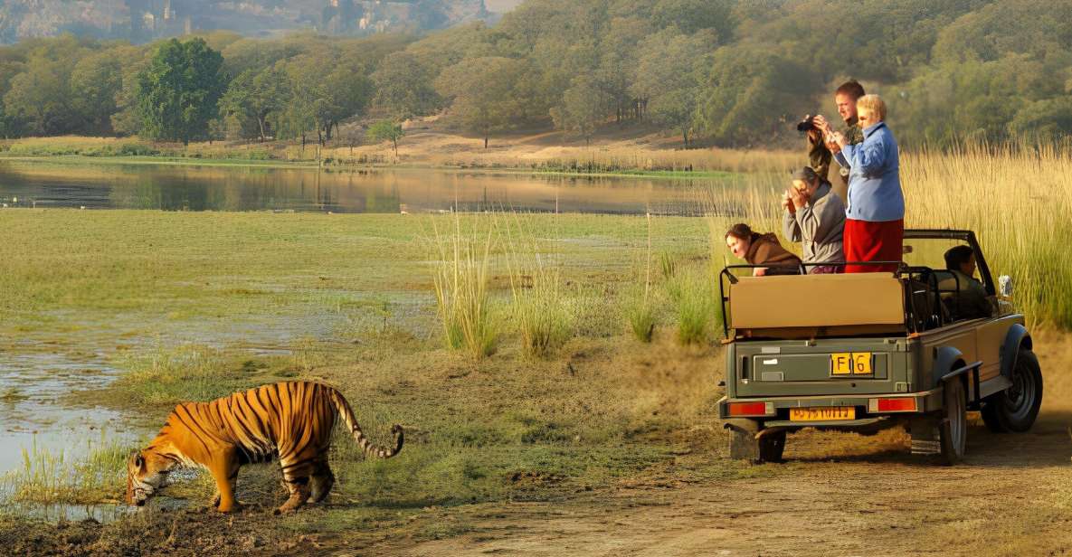 From Jaipur : 2 Days Ranthambore Tiger Safari Tour By Car - The Canter Safari Day: What You Actually Do Out There