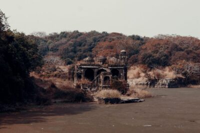 From Jaipur : 2 Days Ranthambore Tiger Safari Tour By Car - Two Safaris in One Weekend: How to Think About Tiger Odds