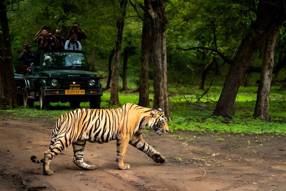 From Jaipur : 2 Days Ranthambore Tiger Safari Tour By Car - Guide + Driver Setup: English, Hindi, and Real-World Timing