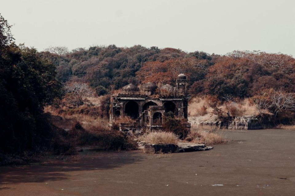 From Jaipur : 2 Days Ranthambore Tiger Safari Tour By Car - Two Safaris in One Weekend: How to Think About Tiger Odds