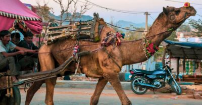 From Jaipur : Ajmer Pushkar Private Tour by Cab with Guide - First stop: Ajmer Sharif Dargah and guided context that helps
