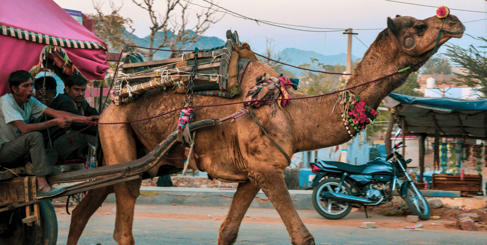 From Jaipur : Ajmer Pushkar Private Tour by Cab with Guide - Lord Brahma Temple in Pushkar: the rare stop worth the detour