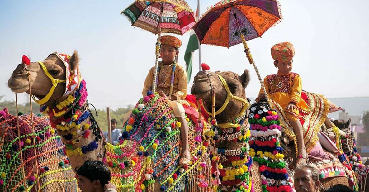 From Jaipur: One-Day Trip From Jaipur to Pushkar - Key Highlights You’ll Notice Right Away