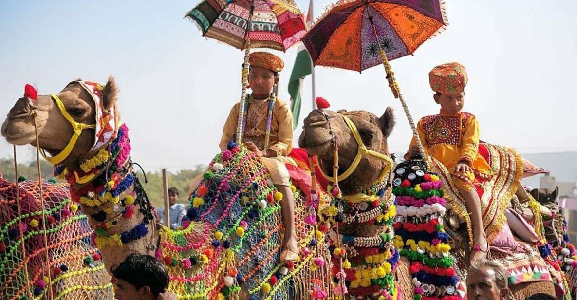 From Jaipur: One-Day Trip From Jaipur to Pushkar - Jaipur to Pushkar: a long, comfortable transfer that sets the tone